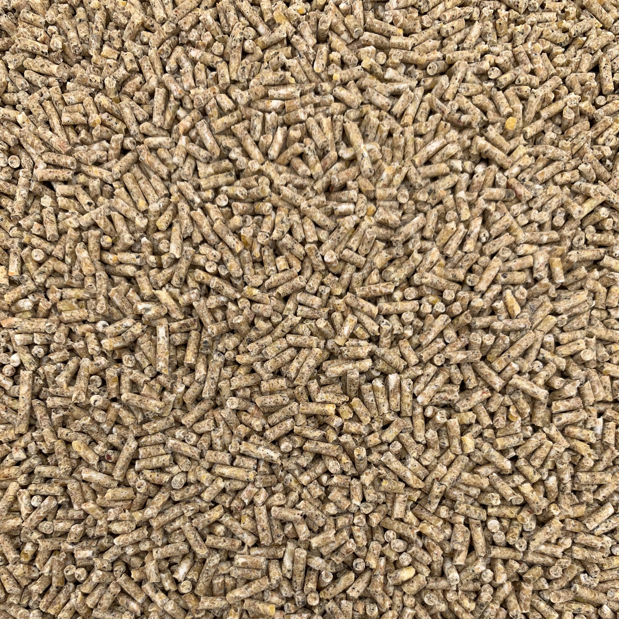 Legekorn RoVoMil - Legehennenfutter gegen Milben 3 mm pelletiert
