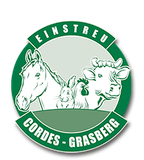 Cordes-Grasberg