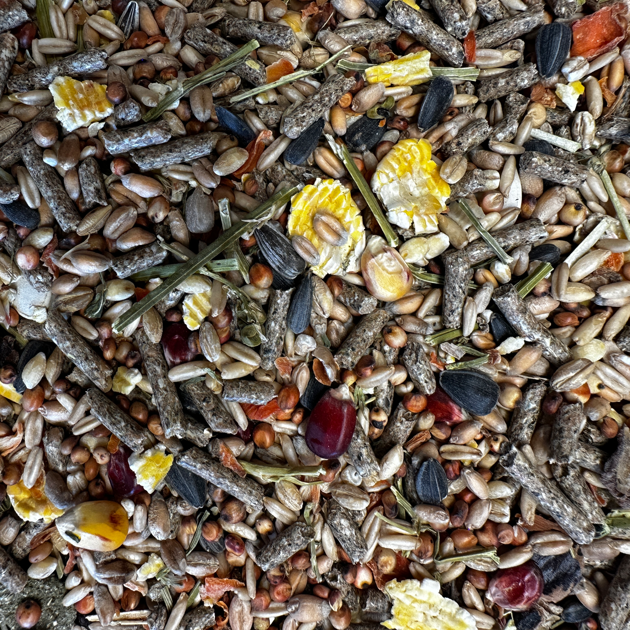 Meerschweinchen - Müsli